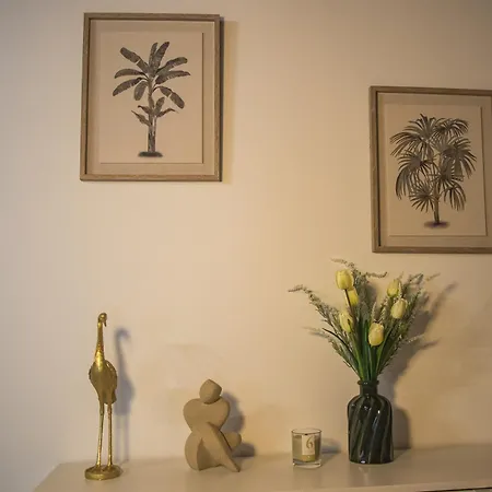 Entre Raizes Tatil Evi *