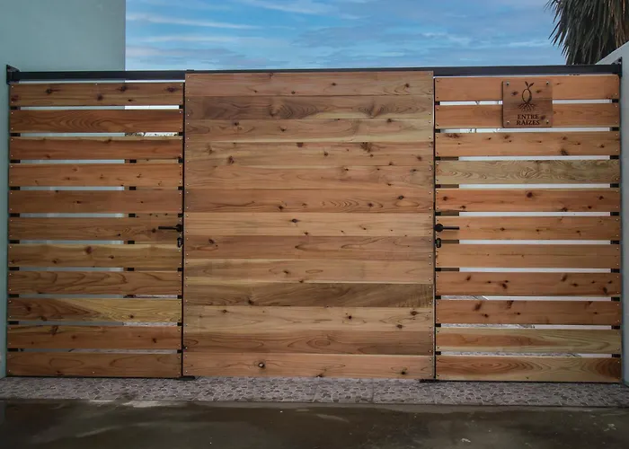 Entre Raizes * Remédios